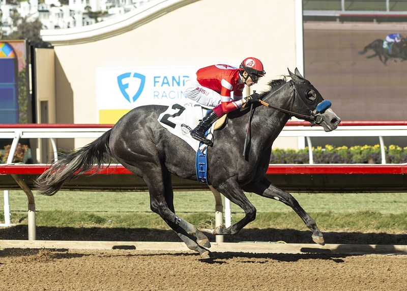 Practical Dream and jockey Antonio Fresu win the $100,000 Desi Arnaz Stakes, Saturday, November 16, 2024 at Del Mar Thoroughbred Club, Del Mar CA. © BENOIT PHOTO